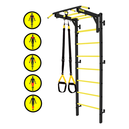 картинка Профессиональная шведская стенка Kampfer Fort Professional Plus от магазина Лазалка